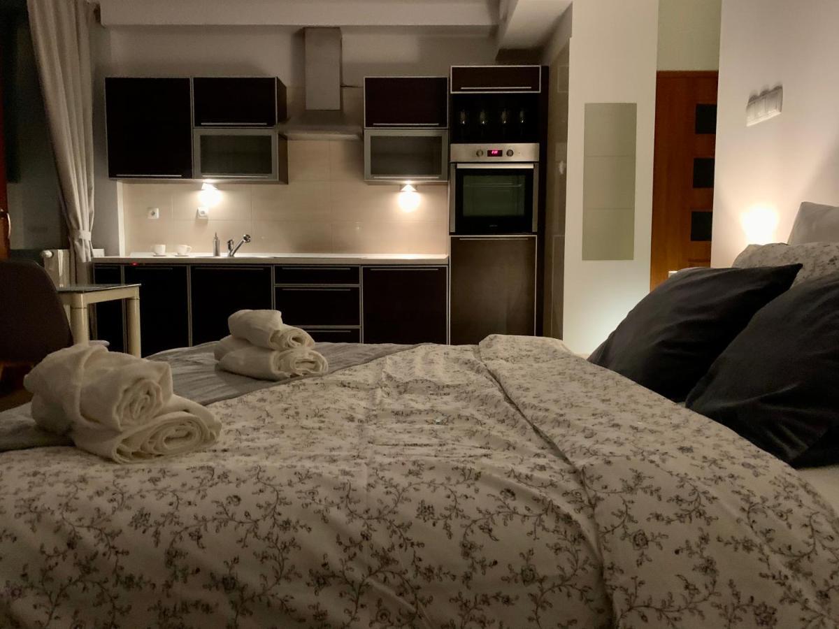 City View Wellness Apartment Swim&Steam&Relax Krakow Bagian luar foto